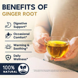 Ginger Root Herbal Tea - Caffeine Free