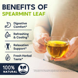 Spearmint Leaf Herbal Tea - Caffeine Free