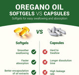 Oil of Oregano Softgels - Oil of Oregano with Black Seed Oil, Formulated with Carvacrol 165mg & Thymoquinone, 240 Softgels (2 Packs) - 120 Days Supply