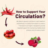 11-in-1 Cayenne Pepper Drops - Herbal Supplement with Hawthorn, Beet Root & Cinnamom - Supports Healthy Digestion & Immune - 4 FL Oz