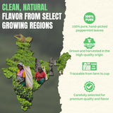 Hiihone Peppermint Tea Bags 100 Count – Pure Peppermint Mint Tea, Caffeine-Free Herbal Tea, Minty & Refreshing, Non-GMO, Soothing & Digestive Support