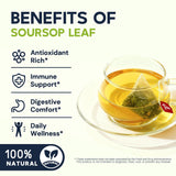 Soursop Leaf Herbal Tea (Graviola) - Caffeine & Sugar Free, 40 Teabags