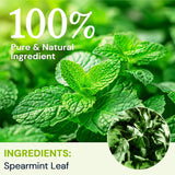 Spearmint Leaf Herbal Tea - Caffeine Free